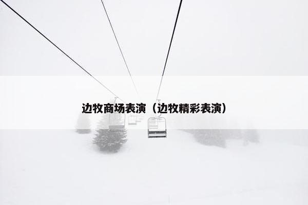 边牧商场表演（边牧精彩表演）