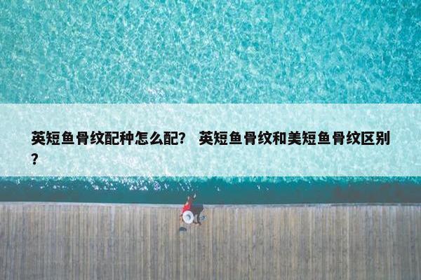 英短鱼骨纹配种怎么配？ 英短鱼骨纹和美短鱼骨纹区别？
