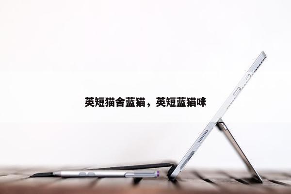 英短猫舍蓝猫，英短蓝猫咪