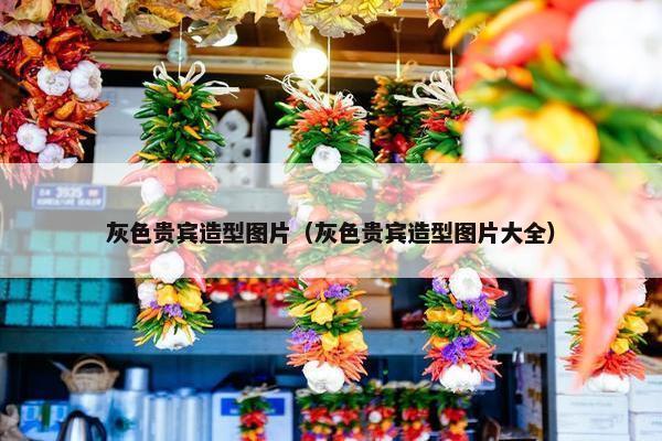 灰色贵宾造型图片（灰色贵宾造型图片大全）