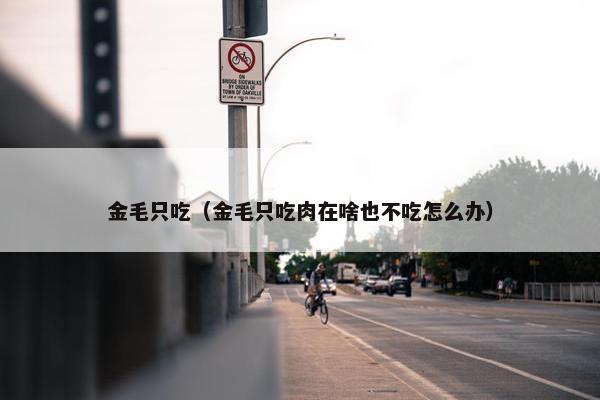 金毛只吃（金毛只吃肉在啥也不吃怎么办）