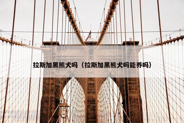 德国 第12页