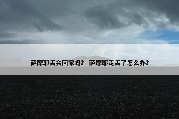 萨摩耶丢会回家吗？ 萨摩耶走丢了怎么办？