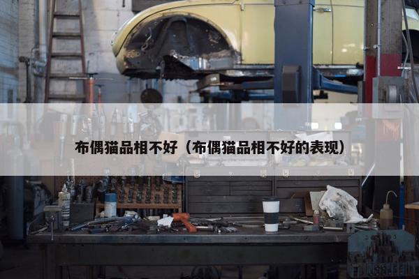 布偶猫品相不好（布偶猫品相不好的表现）