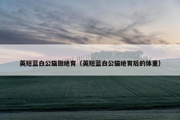 英短蓝白公猫做绝育（英短蓝白公猫绝育后的体重）