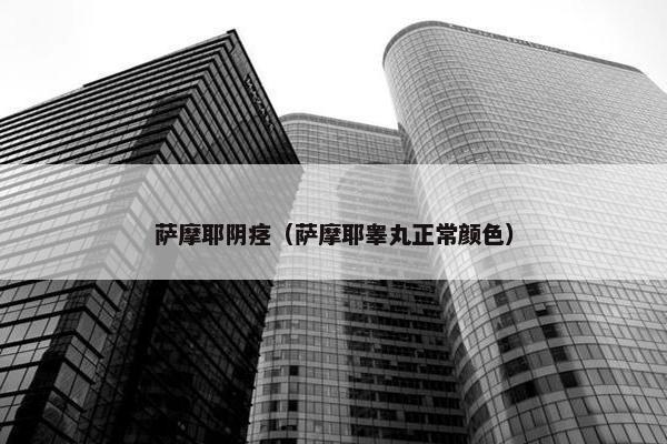 生殖器 第2页
