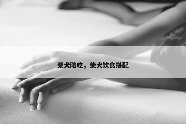 柴犬陪吃，柴犬饮食搭配