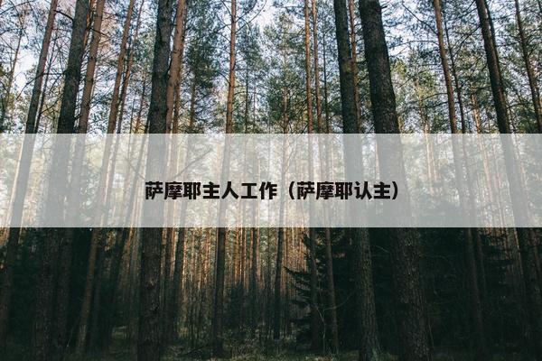萨摩 第15页