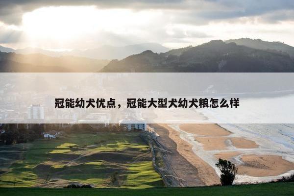 冠能幼犬优点，冠能大型犬幼犬粮怎么样