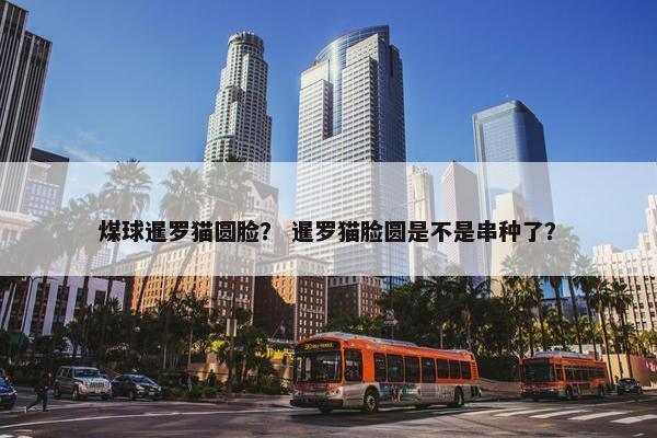 麦尔