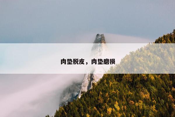 脱皮