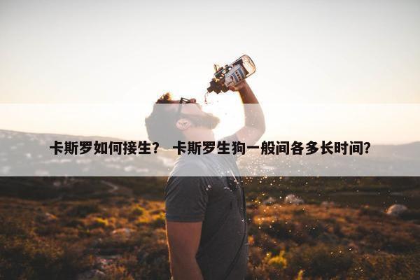 卡斯罗如何接生？ 卡斯罗生狗一般间各多长时间？