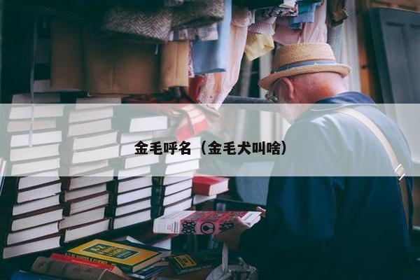 金毛呼名（金毛犬叫啥）