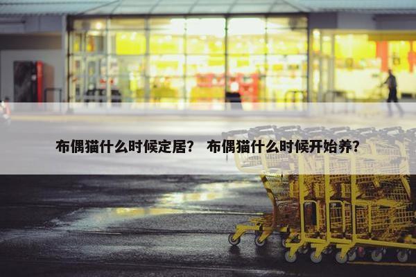 布偶猫什么时候定居？ 布偶猫什么时候开始养？