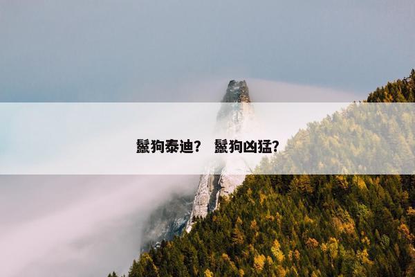 鬣狗泰迪？ 鬣狗凶猛？