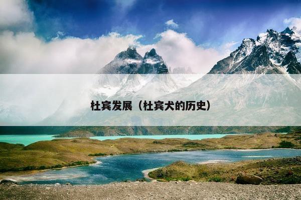 杜宾发展（杜宾犬的历史）
