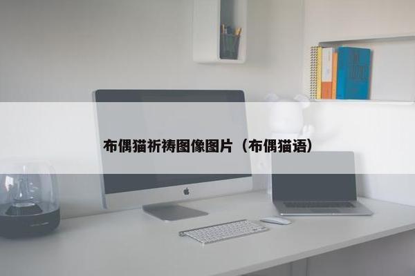 布偶猫祈祷图像图片（布偶猫语）