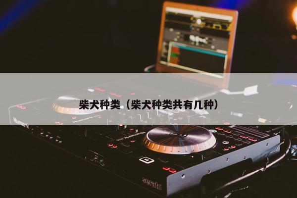 柴犬种类（柴犬种类共有几种）