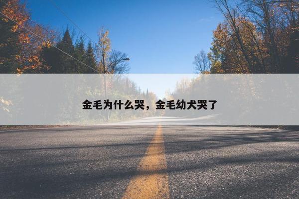 金毛为什么哭，金毛幼犬哭了