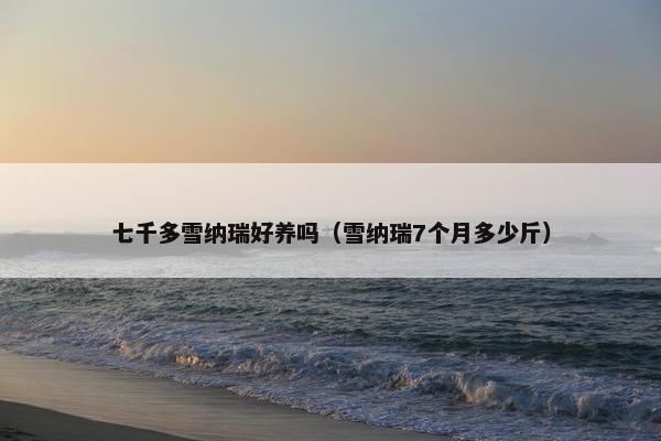 学费