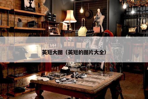 英短大图（英短的图片大全）
