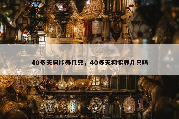 40多天狗能养几只，40多天狗能养几只吗