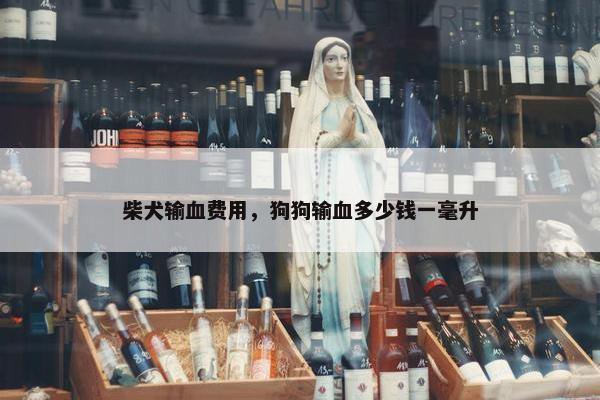 柴犬输血费用，狗狗输血多少钱一毫升