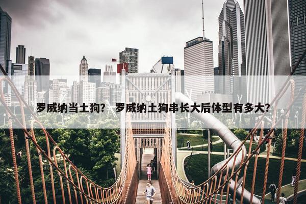 罗威纳当土狗？ 罗威纳土狗串长大后体型有多大？