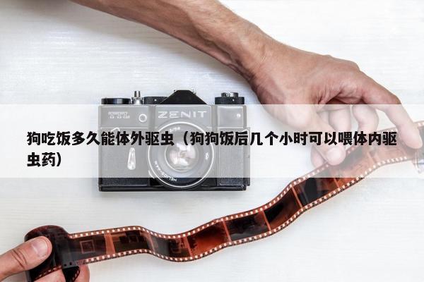 狗吃饭多久能体外驱虫（狗狗饭后几个小时可以喂体内驱虫药）