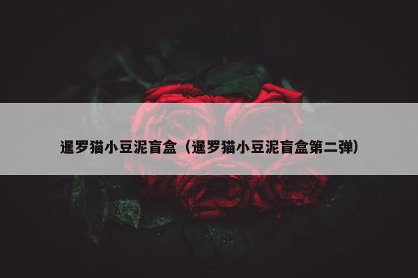 暹罗猫小豆泥盲盒（暹罗猫小豆泥盲盒第二弹）