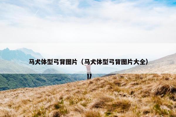 马犬体型弓背图片（马犬体型弓背图片大全）