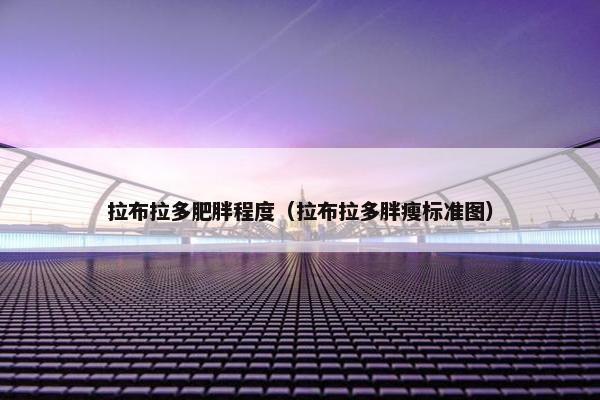 拉布拉多肥胖程度（拉布拉多胖瘦标准图）