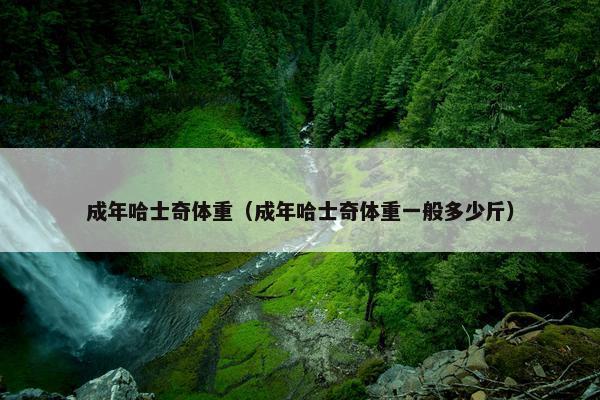成年哈士奇体重（成年哈士奇体重一般多少斤）