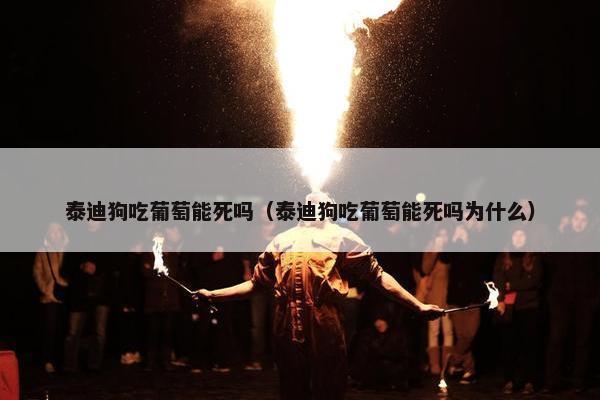 泰迪狗吃葡萄能死吗（泰迪狗吃葡萄能死吗为什么）