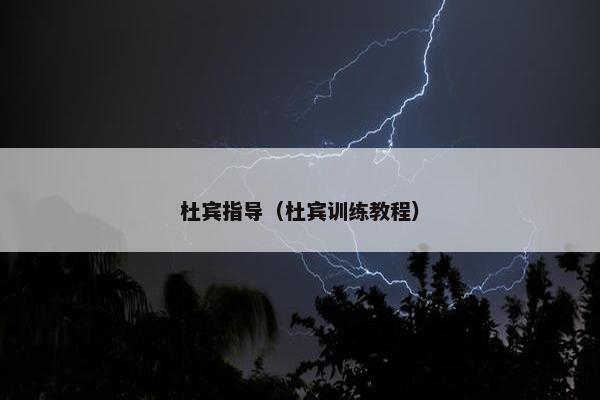 杜宾指导（杜宾训练教程）