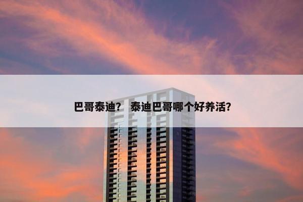 巴哥泰迪？ 泰迪巴哥哪个好养活？