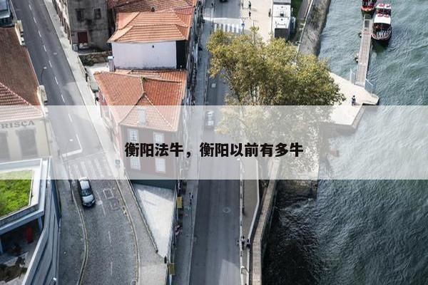 衡阳法牛，衡阳以前有多牛