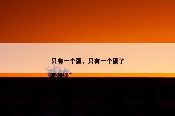 只有一个蛋，只有一个蛋了