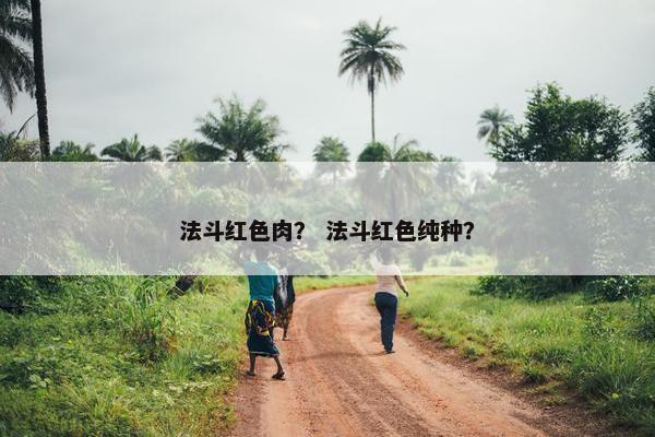 法斗红色肉？ 法斗红色纯种？