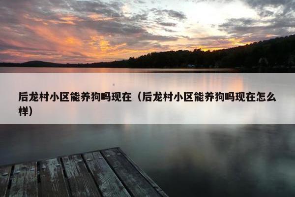 后龙村小区能养狗吗现在（后龙村小区能养狗吗现在怎么样）