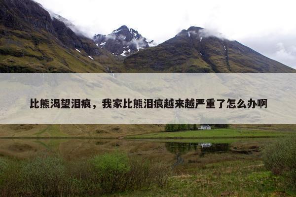 比熊渴望泪痕，我家比熊泪痕越来越严重了怎么办啊