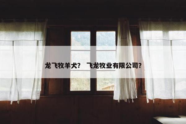 龙飞牧羊犬？ 飞龙牧业有限公司？