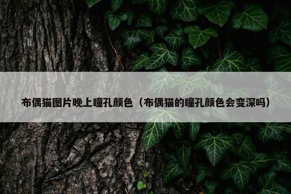 眼睛 第7页