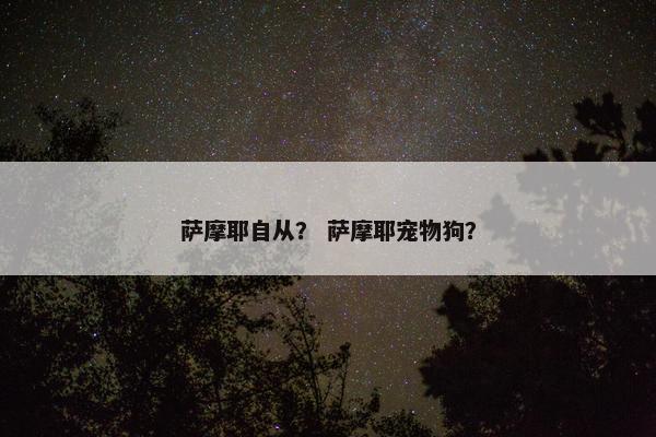 萨摩耶自从？ 萨摩耶宠物狗？