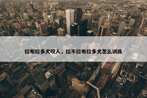 拉布拉多犬咬人，拉不拉布拉多犬怎么训练