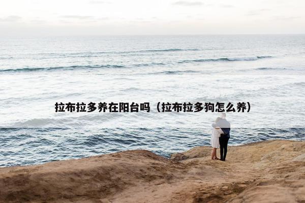 拉布拉多养在阳台吗（拉布拉多狗怎么养）