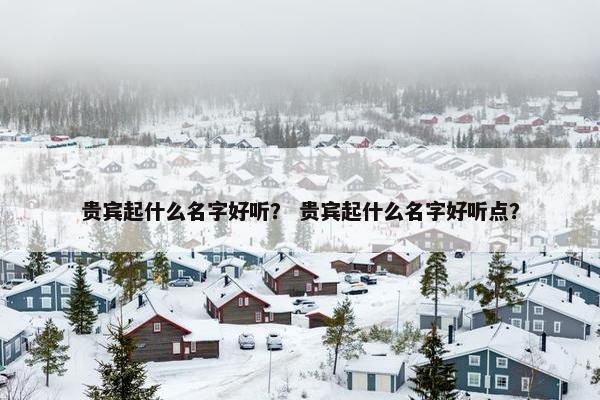 贵宾起什么名字好听？ 贵宾起什么名字好听点？