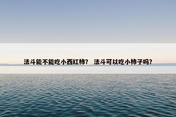 法斗能不能吃小西红柿？ 法斗可以吃小柿子吗？