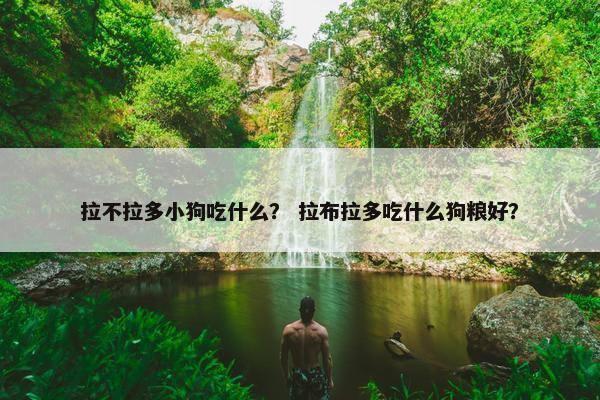 拉不拉多小狗吃什么？ 拉布拉多吃什么狗粮好？