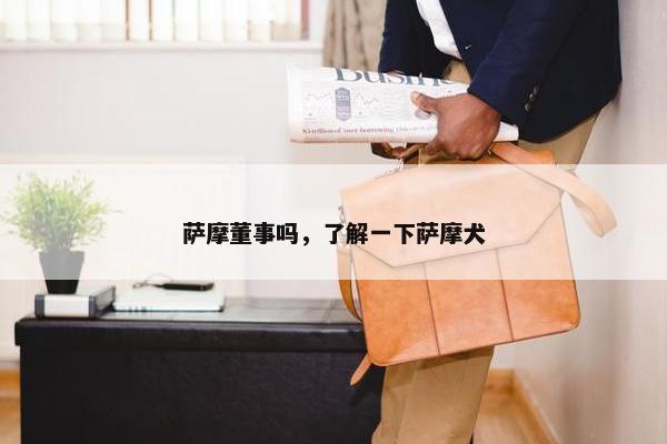 萨摩董事吗，了解一下萨摩犬